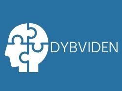 Dybviden